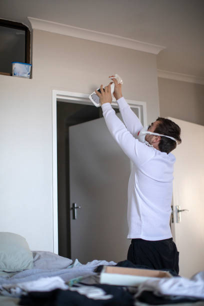 Best Basement Mold Removal  in Port Chester, NY