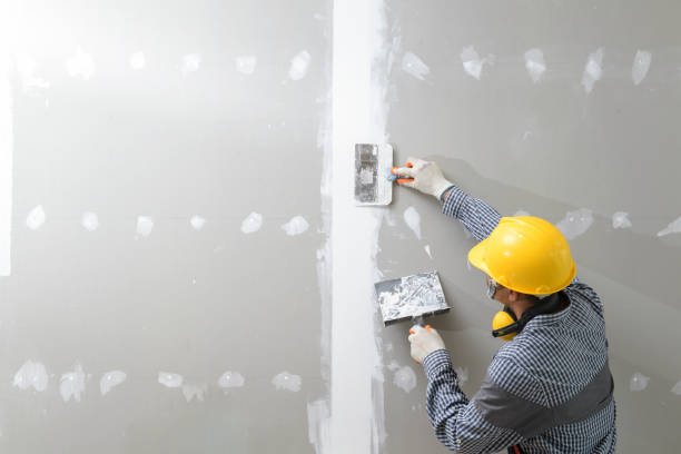 Mold Odor Removal Services in Port Chester, NY