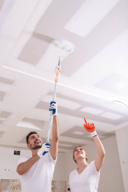 Best Mold Remediation for Healthcare Facilities  in Port Chester, NY