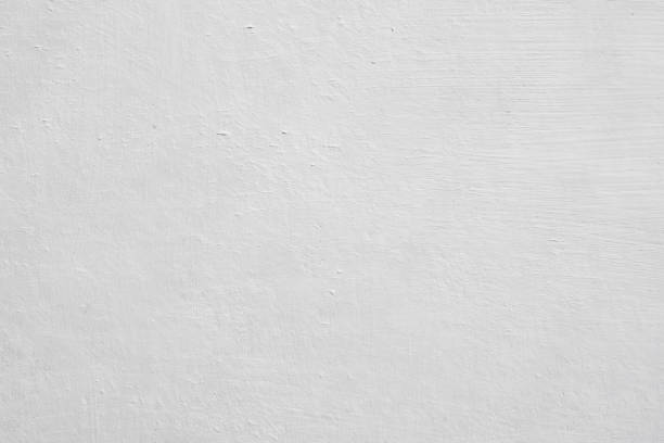 Best Black Mold Removal  in Port Chester, NY
