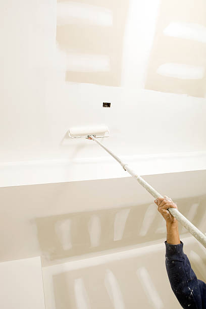 Best Comprehensive Air Testing for Mold Contaminants  in Port Chester, NY