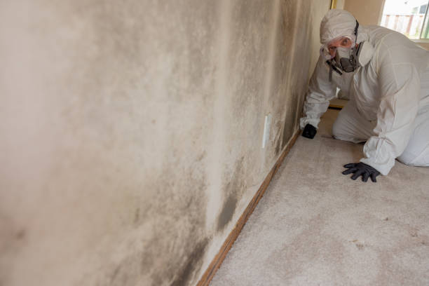 Best Post-Remediation Verification Testing  in Port Chester, NY
