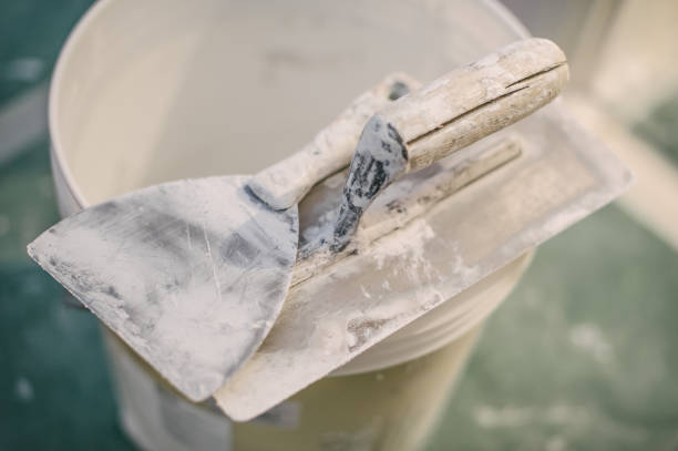 Best Emergency Mold Remediation  in Port Chester, NY